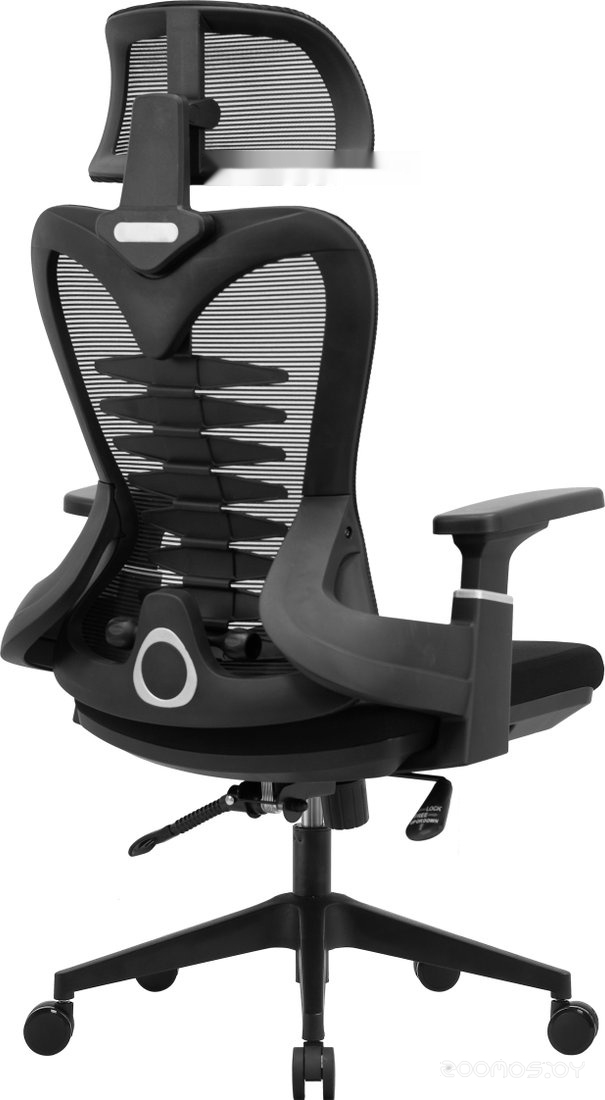 HarmonySpine (черный)