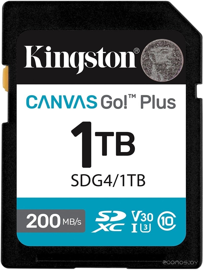 Canvas Go! Plus SDXC 1TB SDG4/1TB