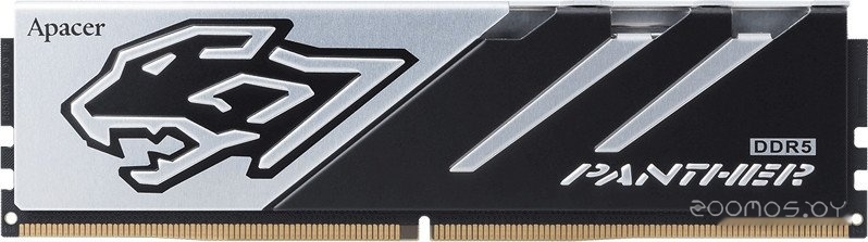 Panther 16ГБ DDR5 6400 МГц AH5U16G64C6527BAA-1
