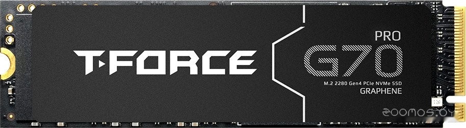 T-Force G70 Pro 2TB TM8FFH002T0C129