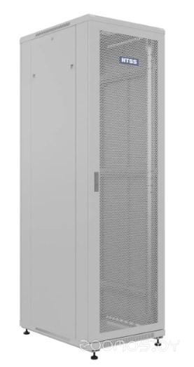 Премиум NTSS-R42U6080PD/PD серый