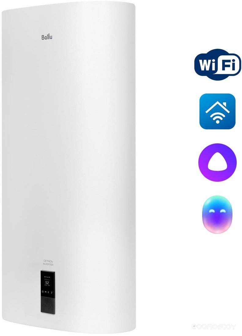 BWH/S 100 Cetrion Inverter