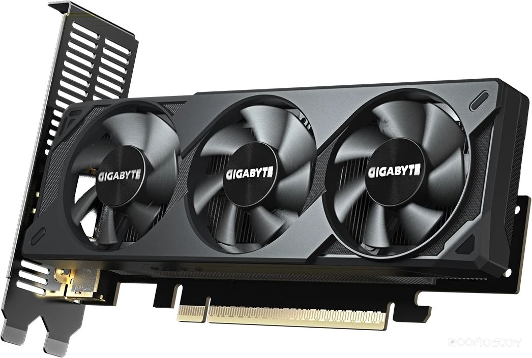 GeForce RTX 5050 OC Low Profile 8G GV-N5050OC-8GL