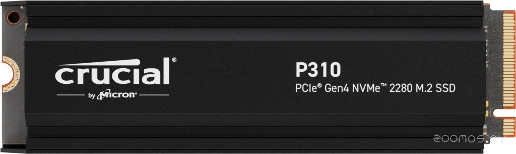 P310 1TB CT1000P310SSD5