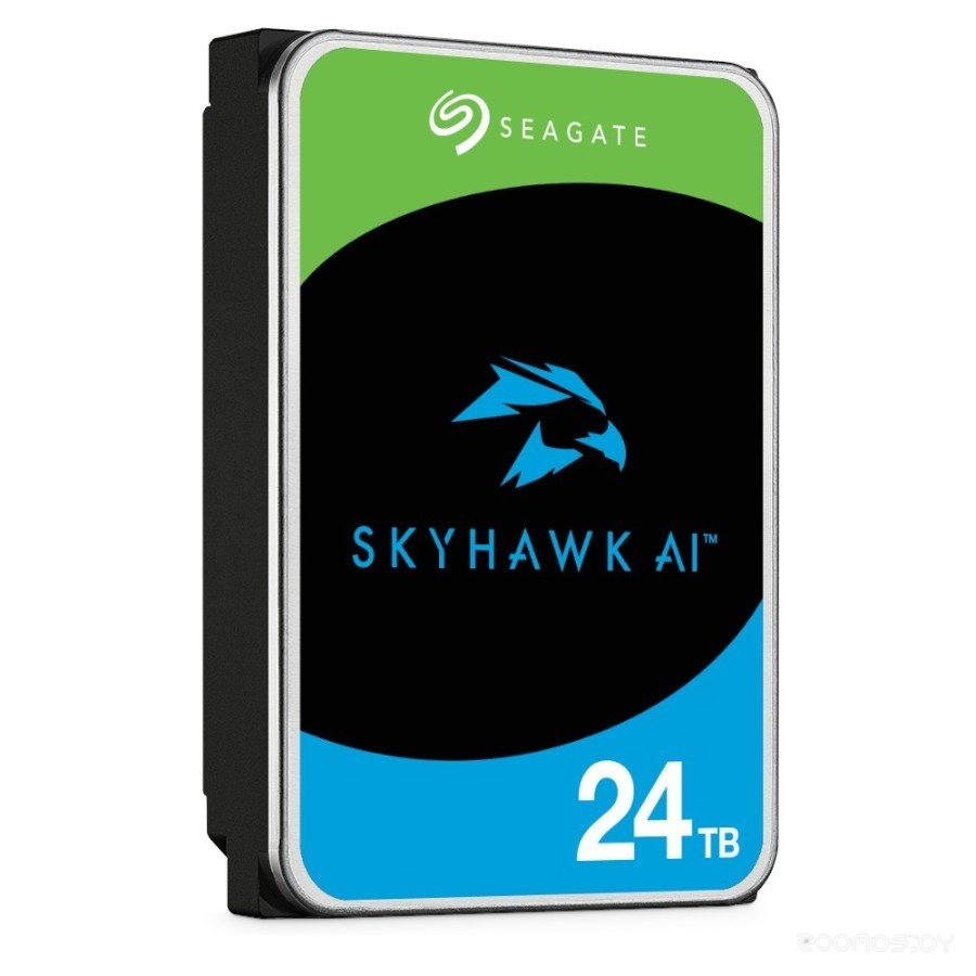 SkyHawk AI (ST24000VE002)