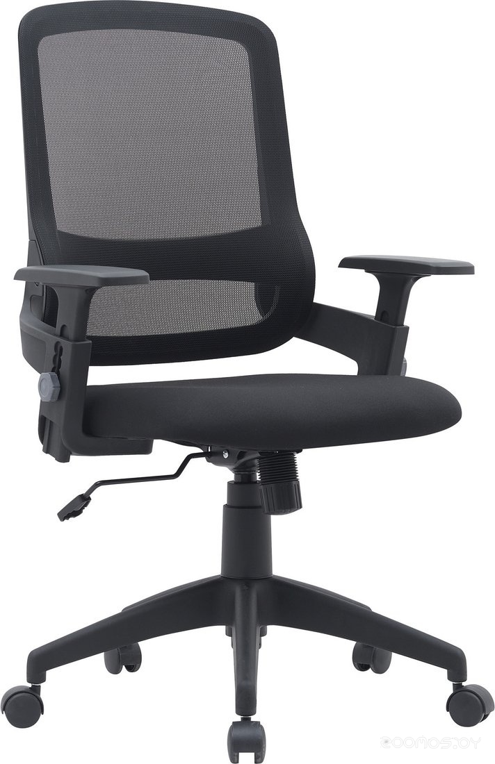 CS-MC313-BK (черный)