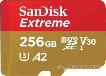 Extreme SDSQXAV-256G-GN6MA microSDXC 256GB