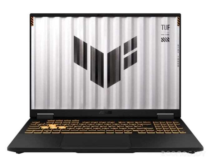 TUF Gaming F16 FX608JMR-RV114