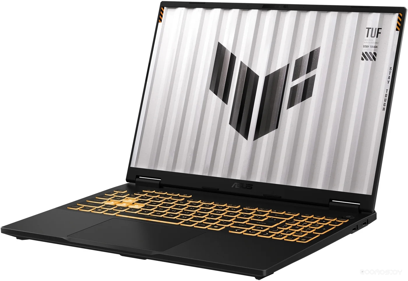 TUF Gaming F16 FX608JMR-RV170 Win 11 Pro
