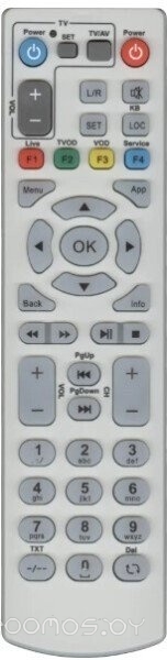 IP TV GDL-62-ZTE030 (серый)