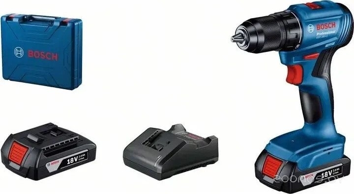 GSR 185-LI Professional 06019K3080 (с 2-мя АКБ, кейс)