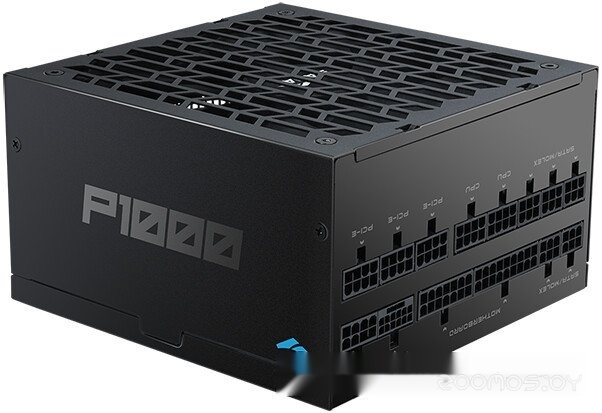 P1000 1000W P1000-BKPFF001-EU