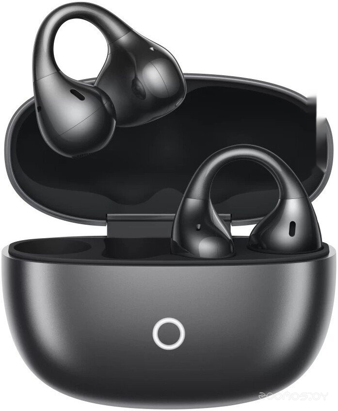 Buds Clip (черный)