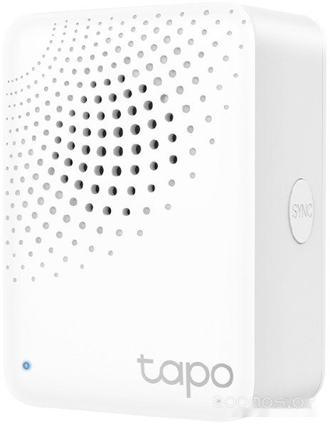 Tapo H100