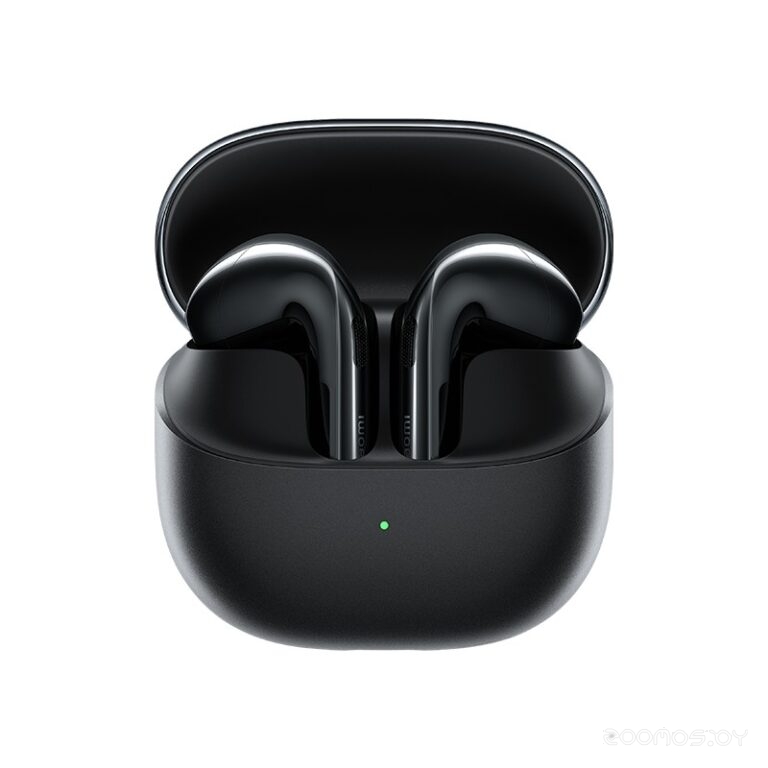 Buds 6 (Graphite Black) (M2540E1)