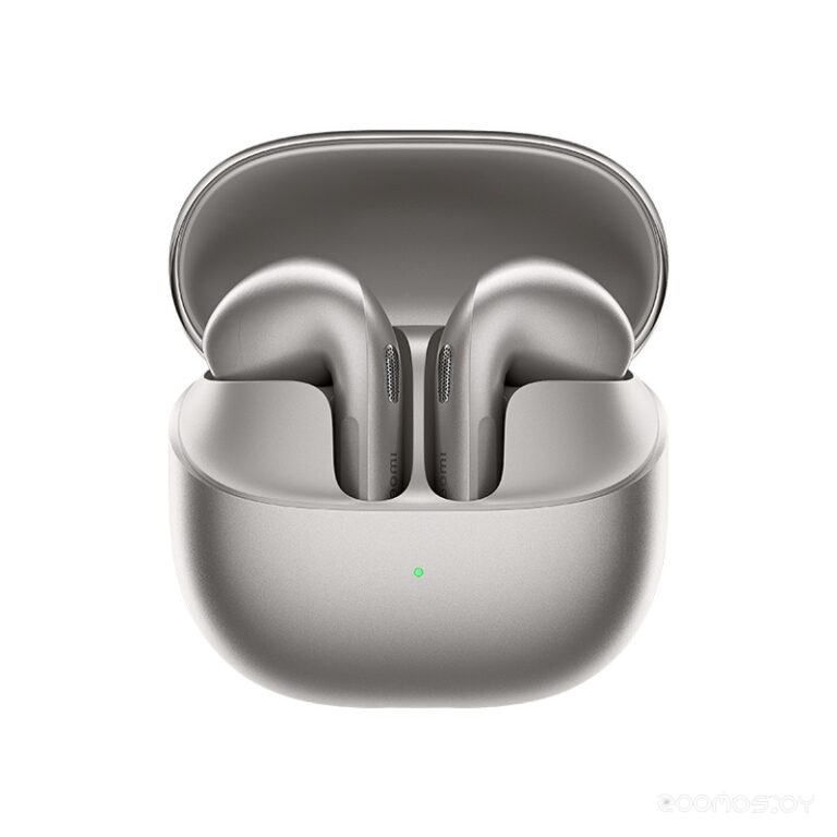 Buds 6 (Titan Gray) (M2540E1)