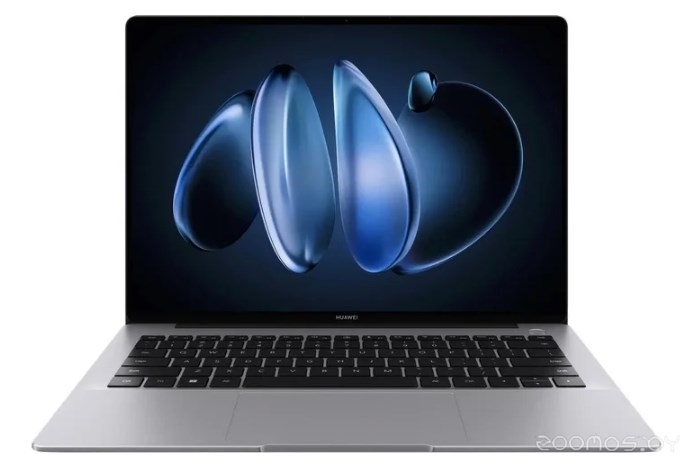 MateBook 14 2024 FlemingH FLMH-X 53014QLJ