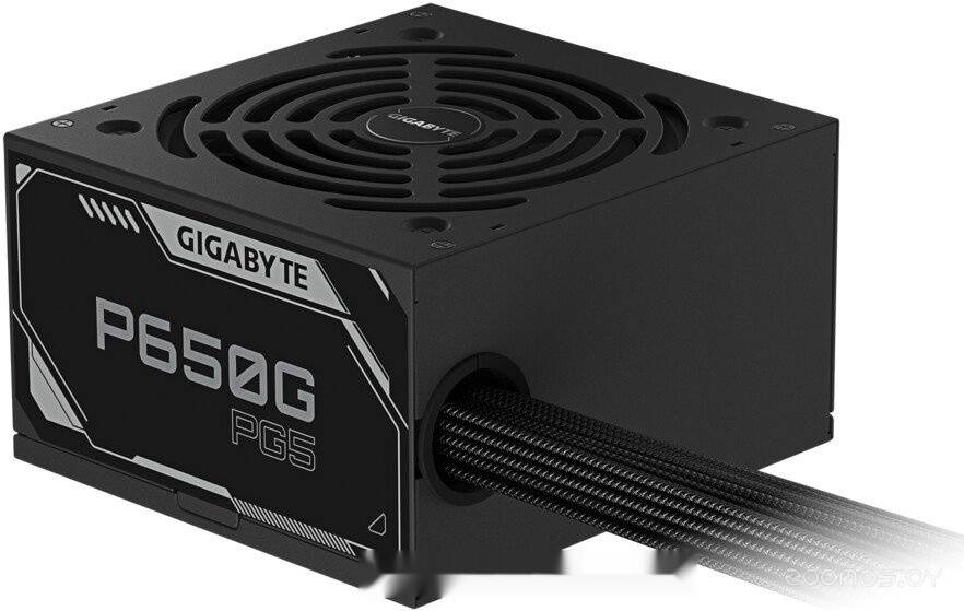 P650G PCIE 5.1