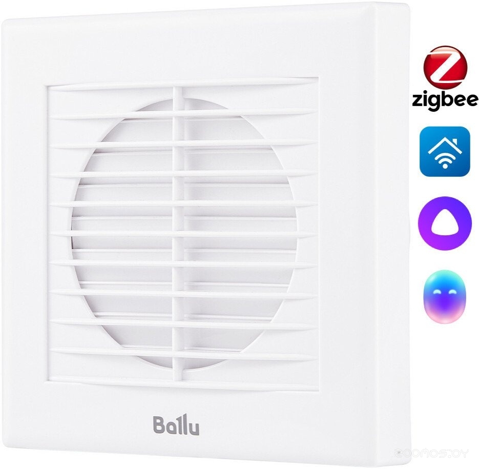 BAF-EX 100 G