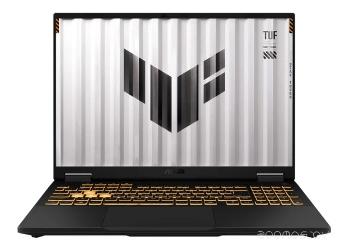 TUF Gaming F16 FX608JMI-TU368