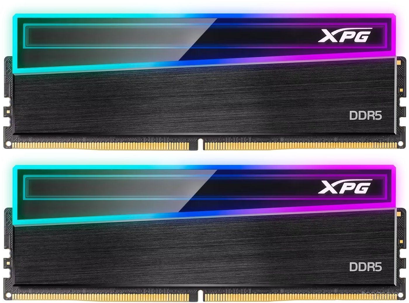 XPG Novakey RGB 2x16ГБ DDR5 5600 МГц AX5U5600C4616G-DCNKRBK