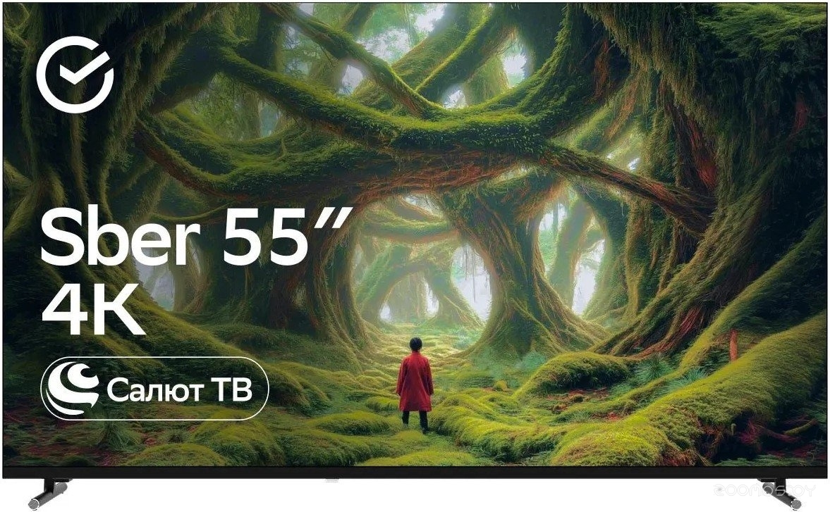 SDX-55U5500DBB