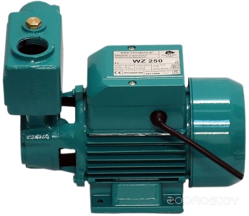 WZ 250