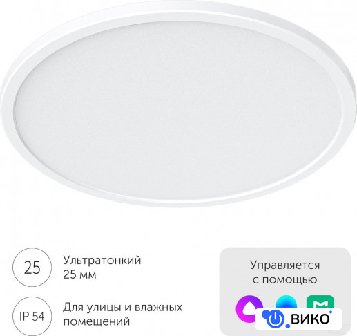 Comet Ceiling Light C235